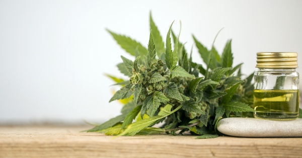 מהן תופעות הלוואי האפשריות של CBD?