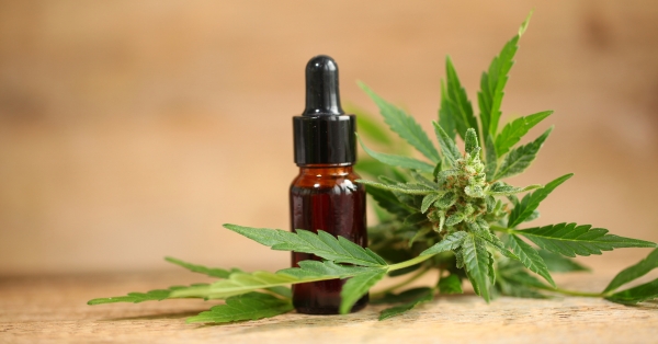 האם CBD חוקי לשימוש?